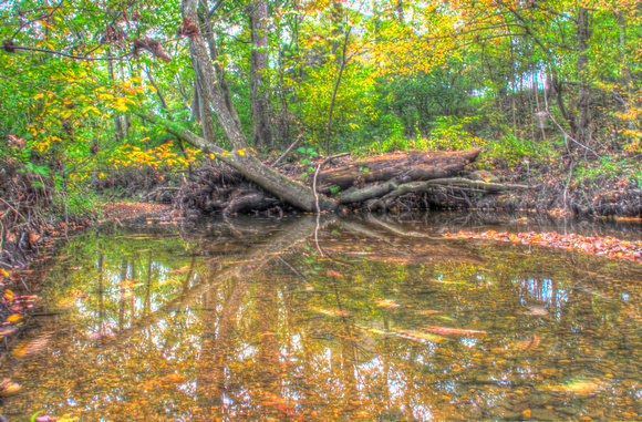 20121006-089_HDR_painterly2